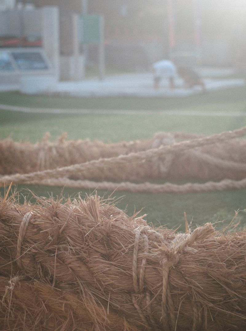 今年の旧暦6月15日、新暦7月9日は六月ウマチー。...