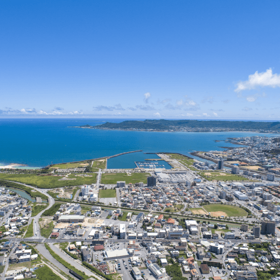 美化緑化きれいなまちづくり事業